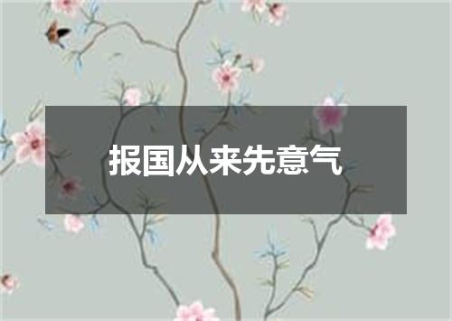 报国从来先意气