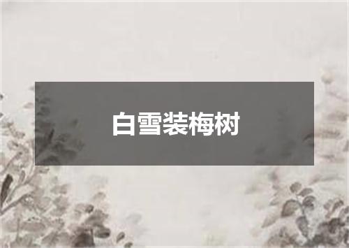 白雪装梅树