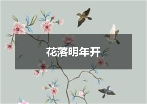 花落明年开