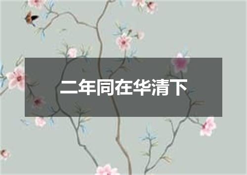 二年同在华清下