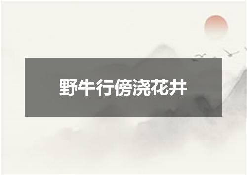 野牛行傍浇花井