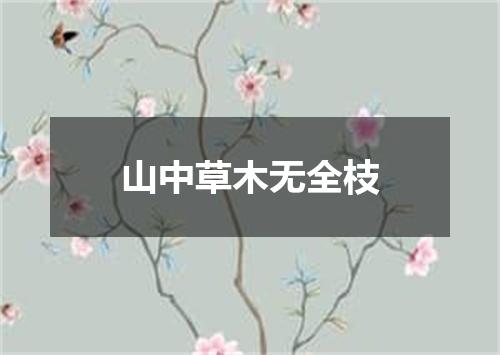 山中草木无全枝