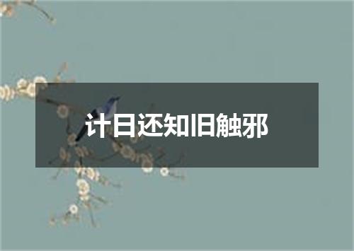 计日还知旧触邪