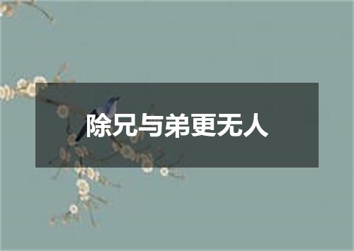 除兄与弟更无人