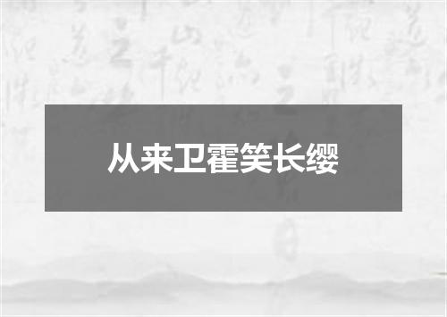 从来卫霍笑长缨