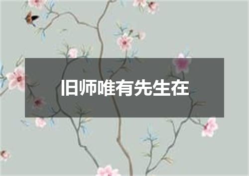 旧师唯有先生在