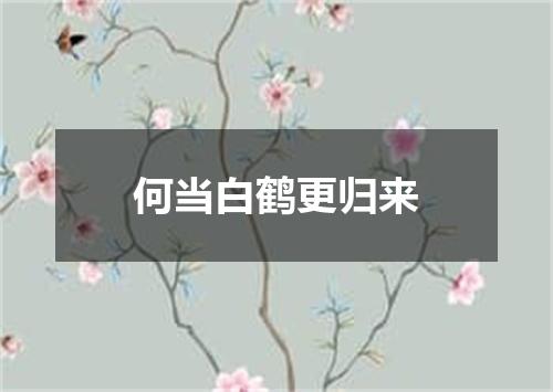 何当白鹤更归来