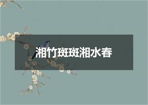 湘竹斑斑湘水春