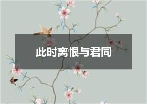 此时离恨与君同