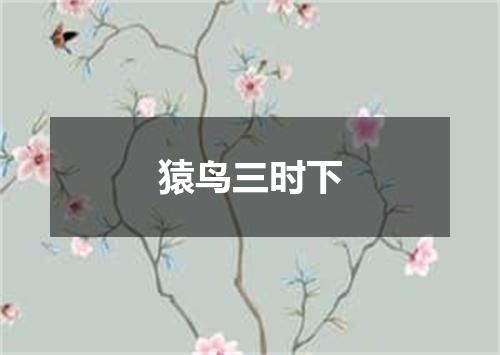 猿鸟三时下