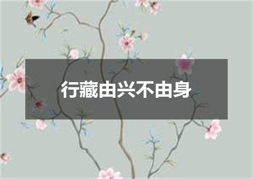 行藏由兴不由身