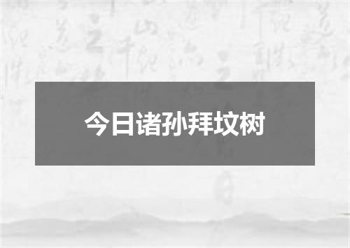 今日诸孙拜坟树