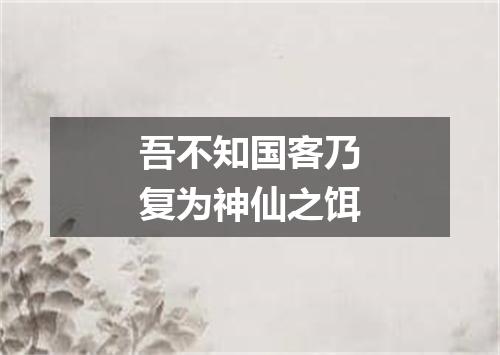 吾不知国客乃复为神仙之饵