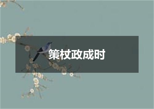 策杖政成时