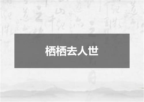 栖栖去人世