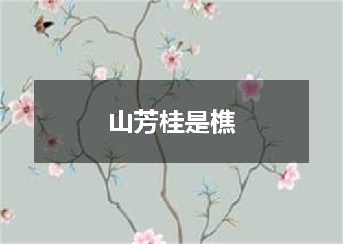 山芳桂是樵