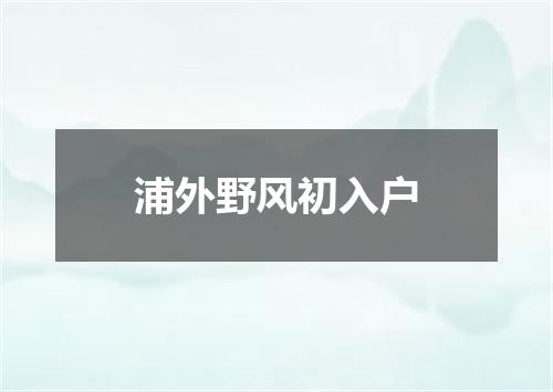 浦外野风初入户