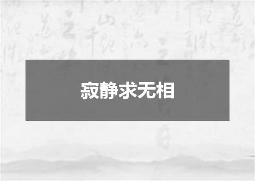 寂静求无相