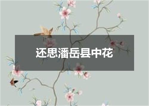 还思潘岳县中花