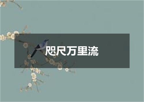 咫尺万里流