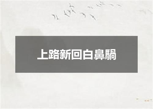 上路新回白鼻騧