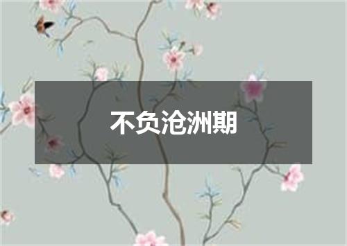 不负沧洲期