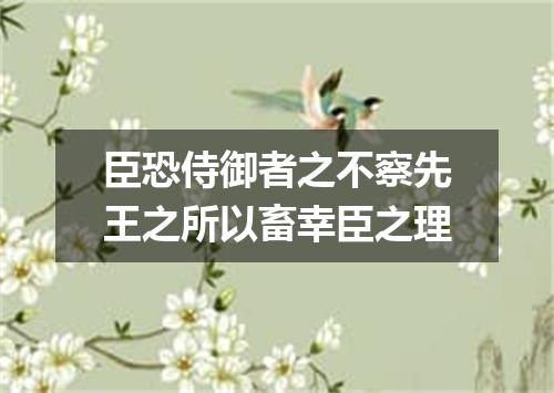 臣恐侍御者之不察先王之所以畜幸臣之理