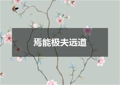 焉能极夫远道