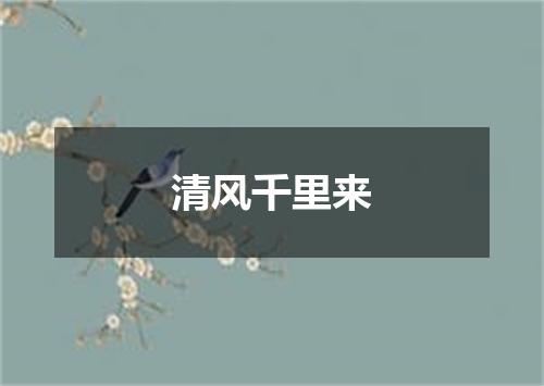 清风千里来