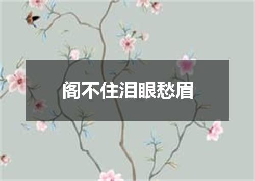 阁不住泪眼愁眉