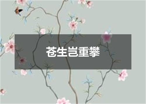 苍生岂重攀