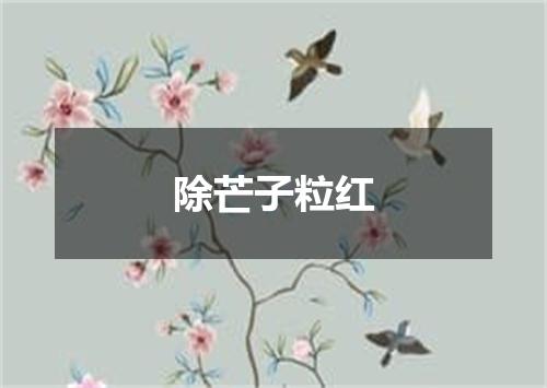 除芒子粒红