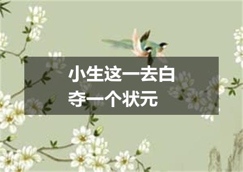 小生这一去白夺一个状元