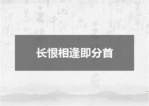 长恨相逢即分首