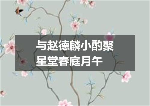 与赵德麟小酌聚星堂春庭月午