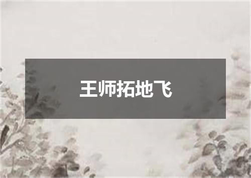 王师拓地飞