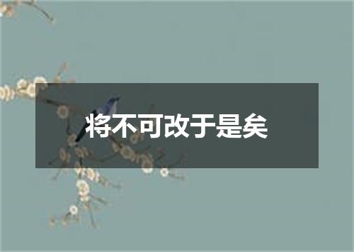 将不可改于是矣