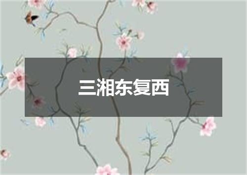 三湘东复西