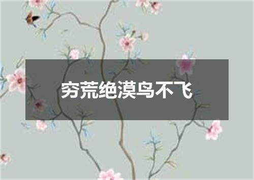 穷荒绝漠鸟不飞