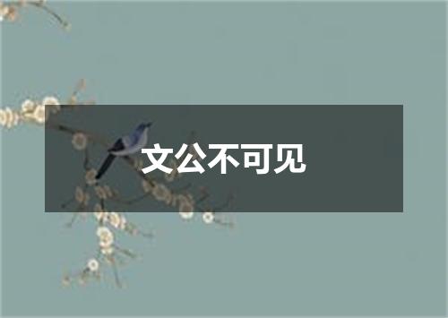 文公不可见