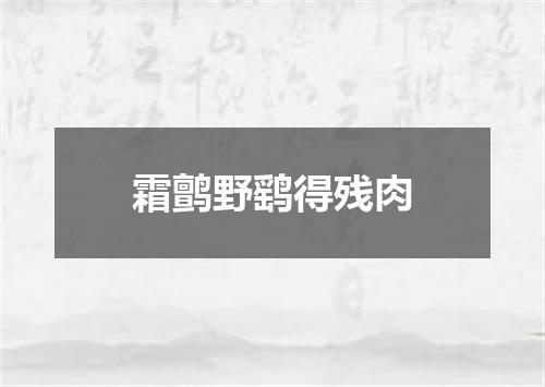 霜鹯野鹞得残肉