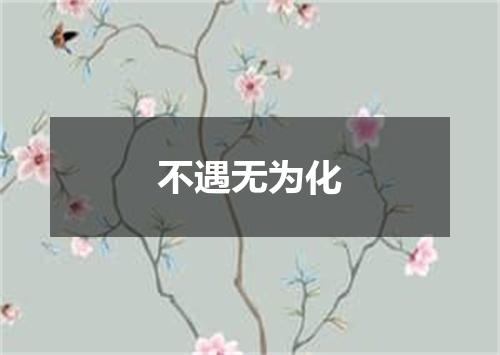 不遇无为化