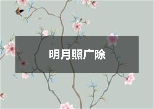 明月照广除