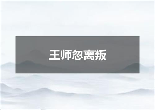 王师忽离叛