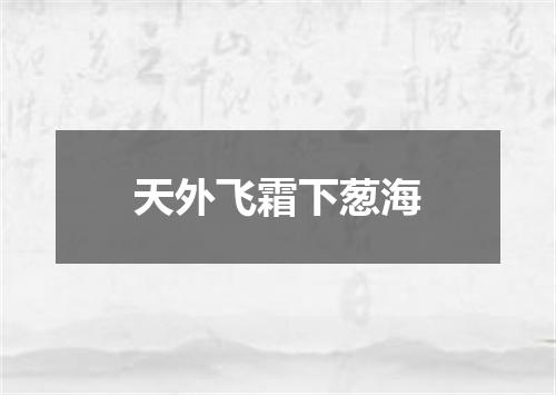 天外飞霜下葱海