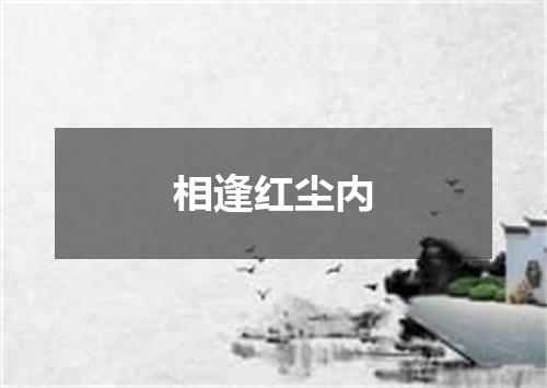 相逢红尘内