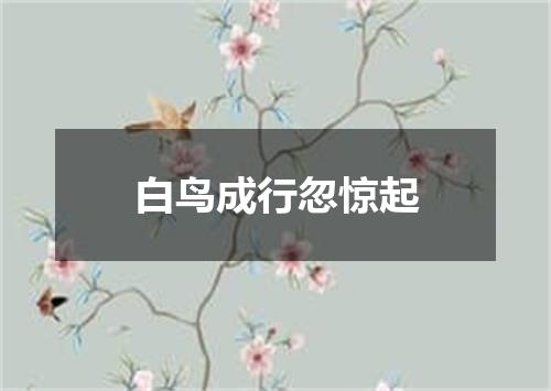 白鸟成行忽惊起