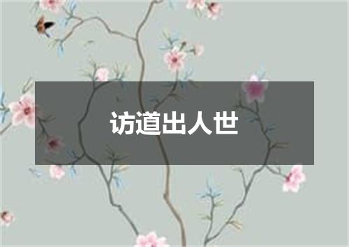 访道出人世