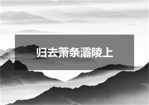 归去萧条灞陵上