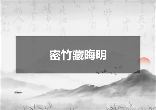 密竹藏晦明